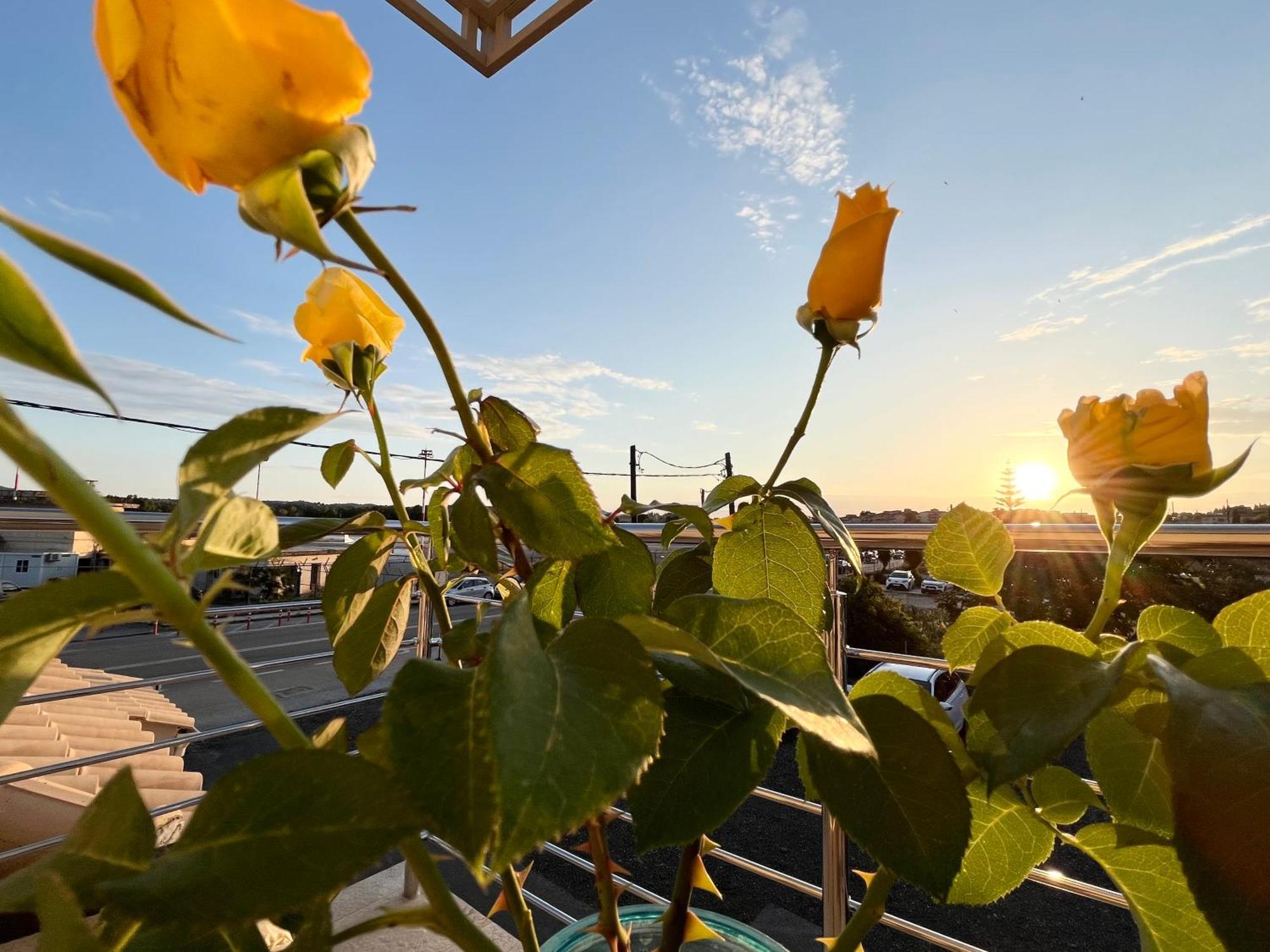 Corfu Airport Sweet Studio 외부 사진